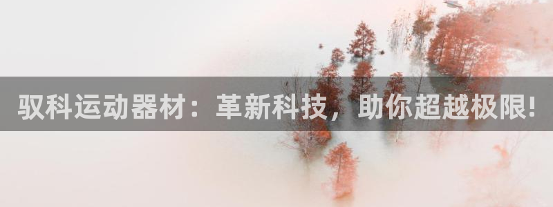 征途国际招商电话号码是多少啊:驭科运动器材:革新科技,助你超