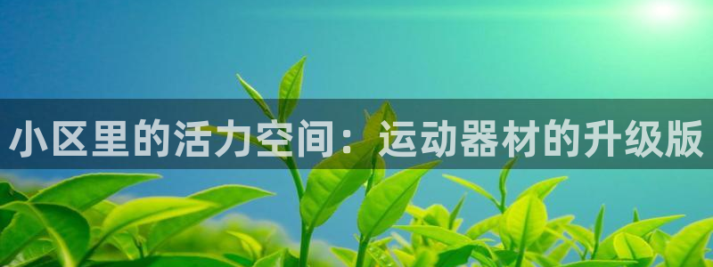 征途国际平台注册要钱吗是真的吗:小区里的活力空间:运动器材的
